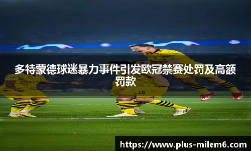 多特蒙德球迷暴力事件引发欧冠禁赛处罚及高额罚款