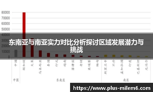 东南亚与南亚实力对比分析探讨区域发展潜力与挑战